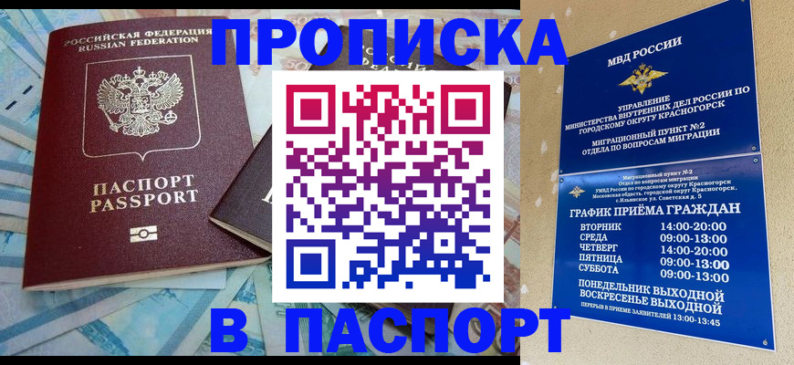 найти адрес прописки в Палласовке